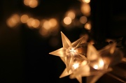 28th Dec 2012 - Starry starry night