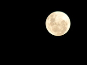 28th Dec 2012 - December Full Moon