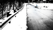 28th Dec 2012 - Winterburbia