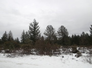 28th Dec 2012 - Snowy Landscape