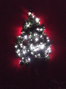26th Dec 2012 - Half a Tree
