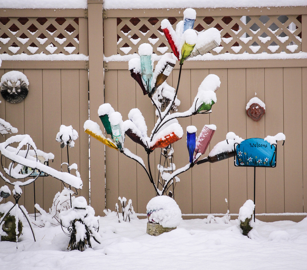 Bottle Tree in the snow..... by cdonohoue
