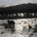 Walking in a Winter Waterland by shepherdman