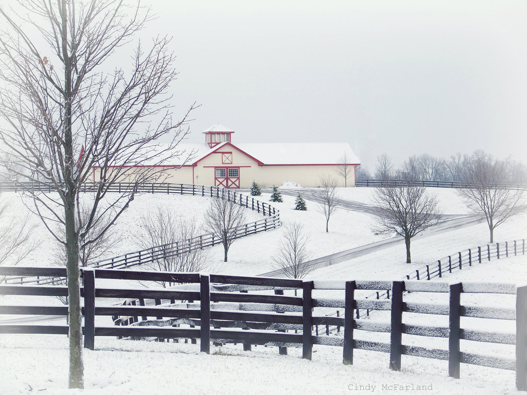 First Snow in Kentucky  by cindymc