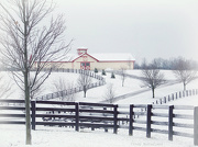 29th Dec 2012 - First Snow in Kentucky 