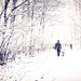 Walking In A Winter Wonderland by lesip