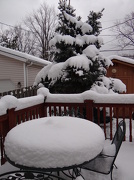29th Dec 2012 - More Snow
