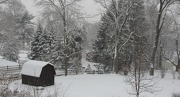 29th Dec 2012 - We had snow
