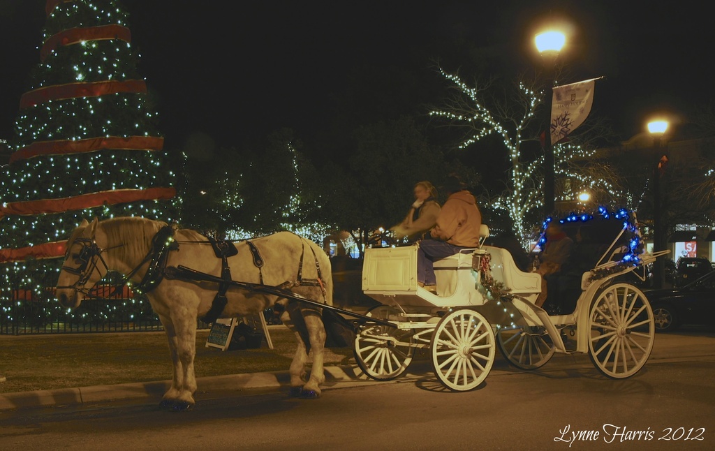 Carriage Rides by lynne5477