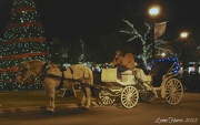 30th Dec 2012 - Carriage Rides