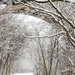 Under the Snowy Bridge by alophoto
