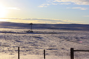 28th Dec 2012 - Winter pasture