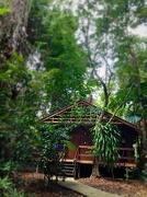30th Dec 2012 - My little wooden lodge In the forest 