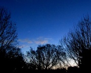 29th Dec 2012 - The other Blue Hour