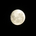 Full Moon 31st Dec 2012 by kiwiflora