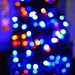 Outdoor Evening Christmas Light Bokeh  by soboy5