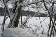 30th Dec 2012 - Winter Hike