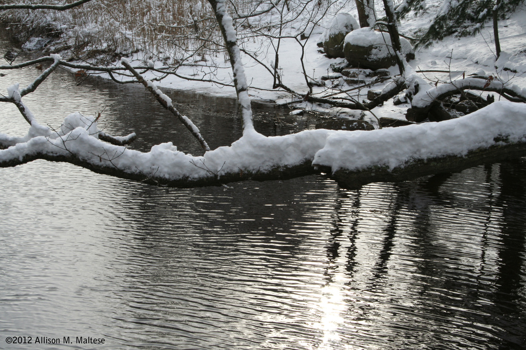 East River, Winter Hike 2 by falcon11