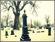 30th Dec 2012 - Snow in the Cemetery 
