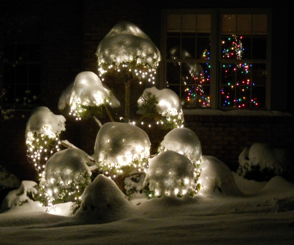 Snowy lights by mittens