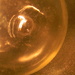 Close-up of Light-bulb 12.29.12 by sfeldphotos