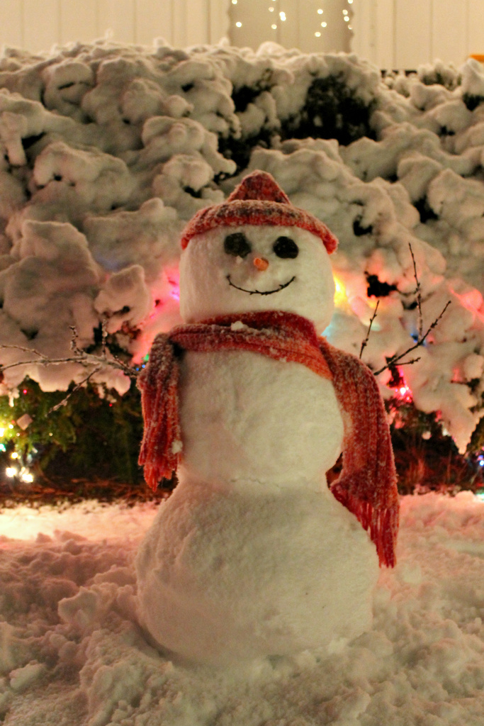 First Winter Storm Snowman by lauriehiggins