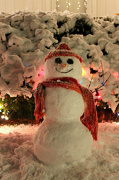 30th Dec 2012 - First Winter Storm Snowman