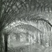 B&W infrared 850nm - tree ferns off Maroondah Hwy near Healesville  by lbmcshutter