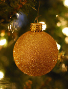 28th Dec 2012 - One Last Ornament Picture...
