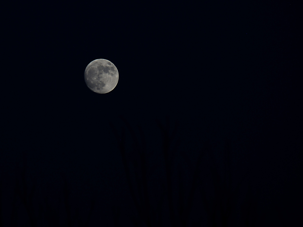 Winter Moon by dakotakid35