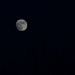 Winter Moon by dakotakid35