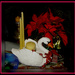The Christmas Swan by vernabeth