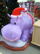 13th Dec 2012 - Christmas Hippo?