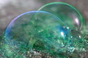30th Dec 2012 - Winter bubbles