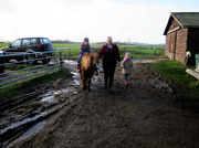 30th Dec 2012 - At the farm