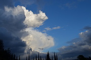 30th Dec 2012 - Confused Clouds