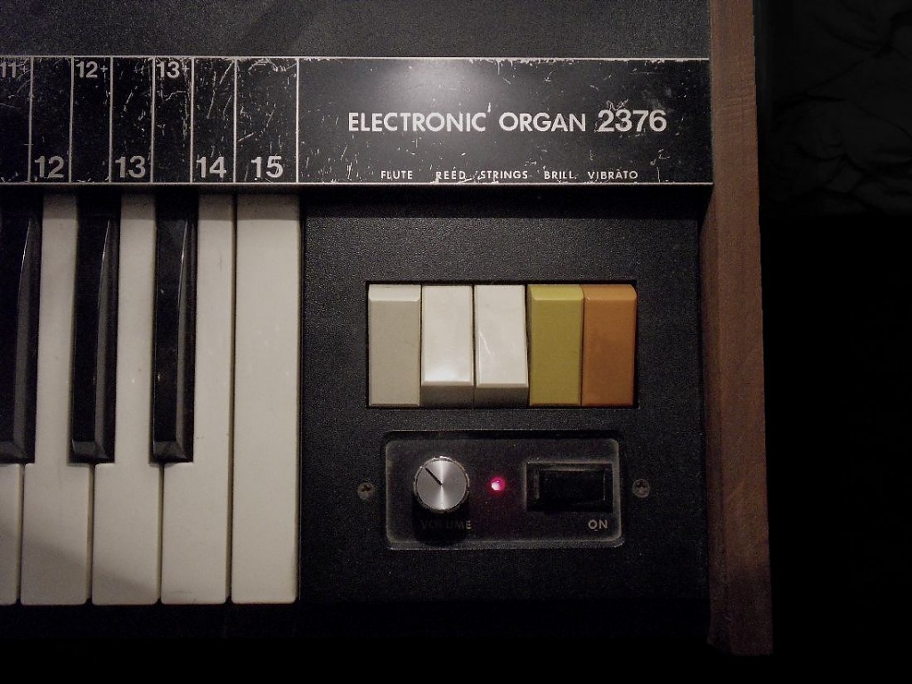 Electric Organ by berend