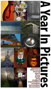 31st Dec 2012 - A Year in Pictures