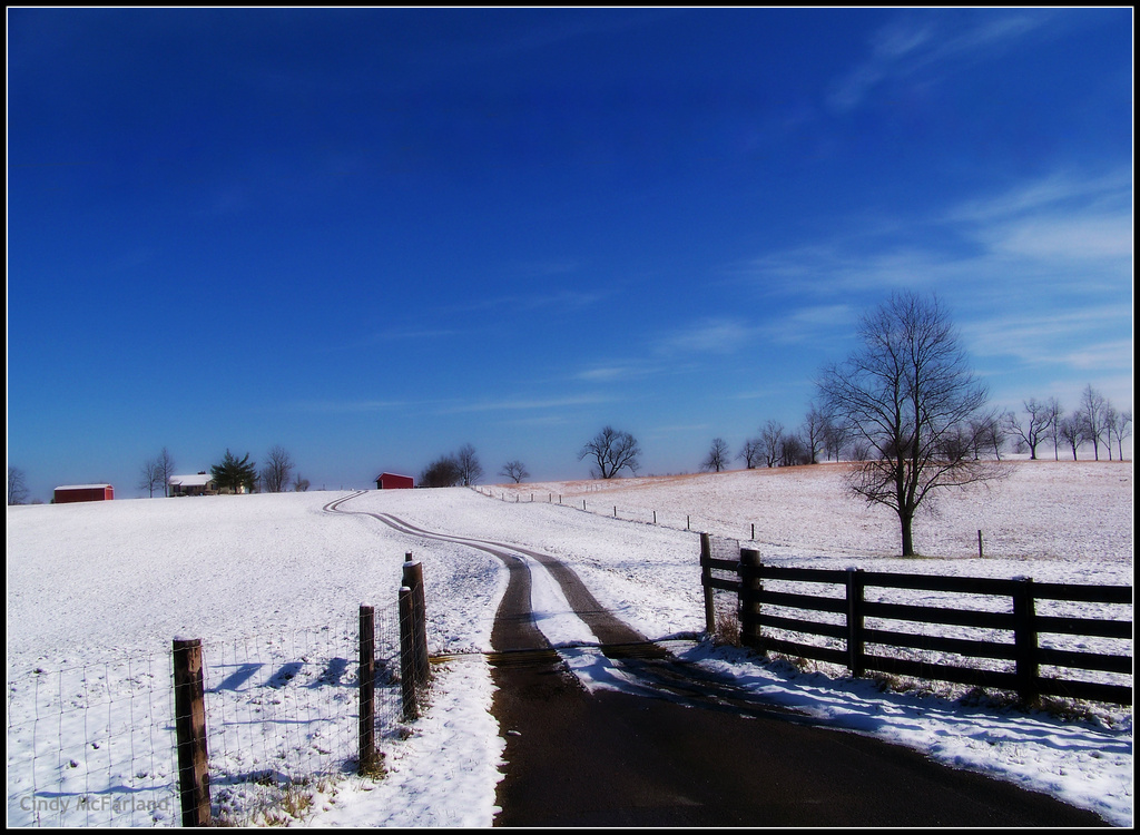 Tracks in the Snow   by cindymc