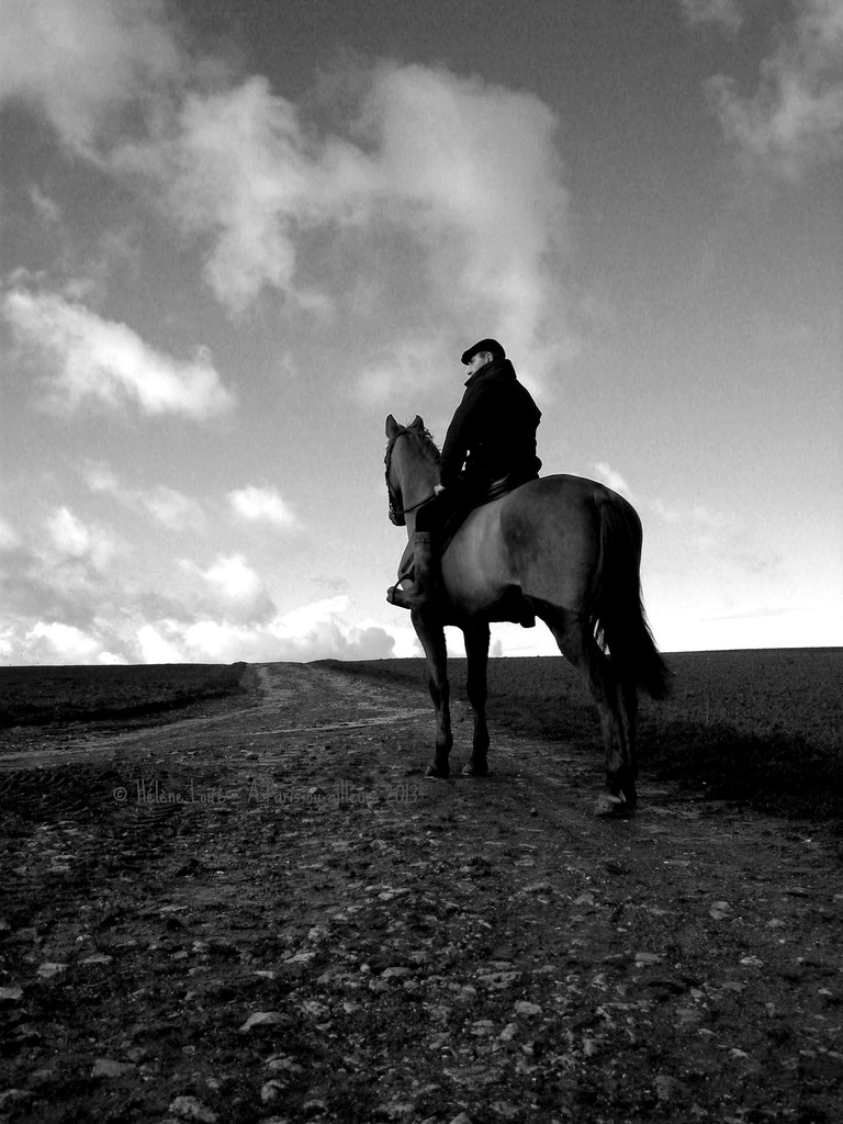 Horse rider by parisouailleurs