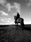 1st Jan 2013 - Horse rider