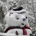 Snowbear by sunnygreenwood