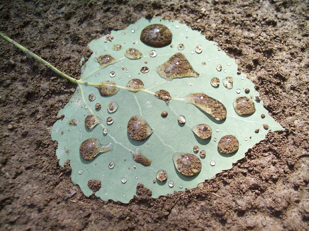 Pebble-Filled Droplets by julie