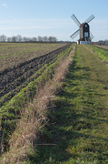2nd Jan 2013 - Leading to the windmill