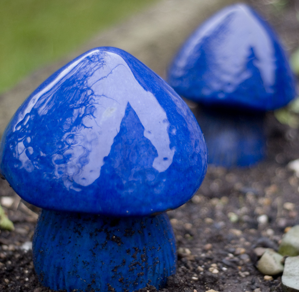 Garden Mushrooms by tracybeautychick