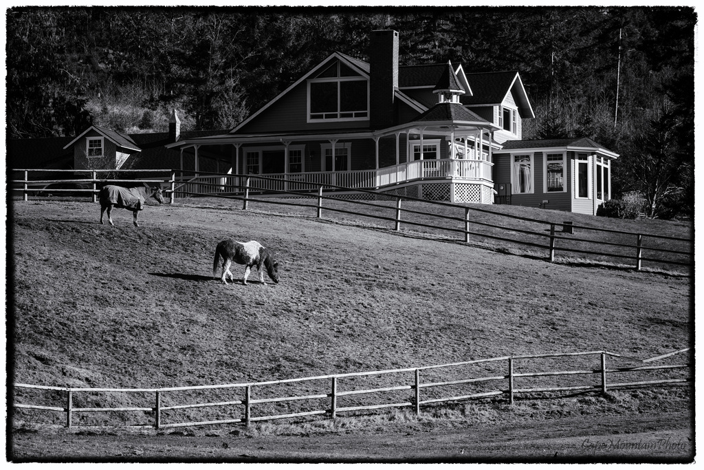 Eagle View Ranch by jgpittenger