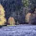 Frosty Meadow by jgpittenger