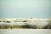 31st Dec 2012 - White Farm