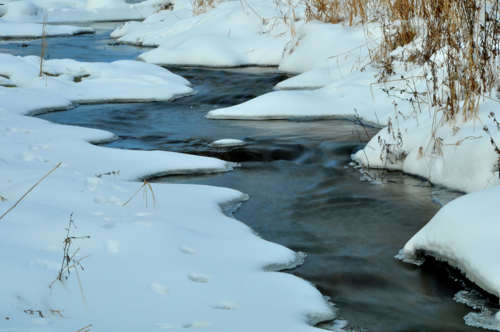 Winter - The Creek by jayberg