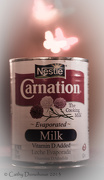 3rd Jan 2013 - Word of the Day - Carnation